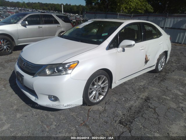 Photo 1 VIN: JTHBB1BA9A2010030 - LEXUS HS 250H 