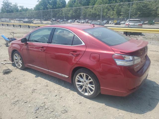 Photo 1 VIN: JTHBB1BA9A2019956 - LEXUS HS 