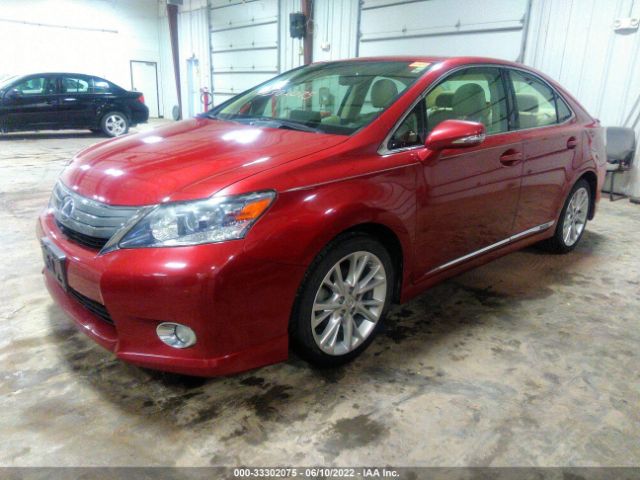 Photo 1 VIN: JTHBB1BA9A2024641 - LEXUS HS 250H 