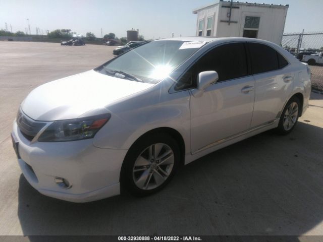 Photo 1 VIN: JTHBB1BA9A2031105 - LEXUS HS 250H 