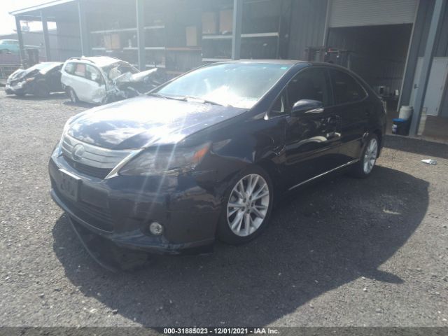 Photo 1 VIN: JTHBB1BAXA2007251 - LEXUS HS 250H 