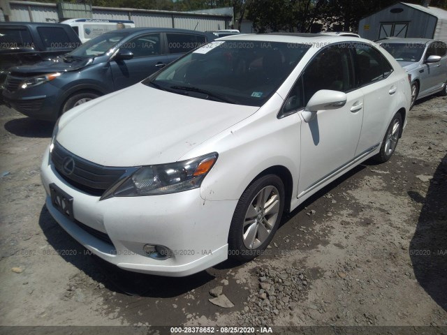 Photo 1 VIN: JTHBB1BAXA2013969 - LEXUS HS 250H 