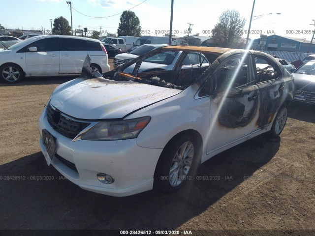 Photo 1 VIN: JTHBB1BAXA2037785 - LEXUS HS 250H 