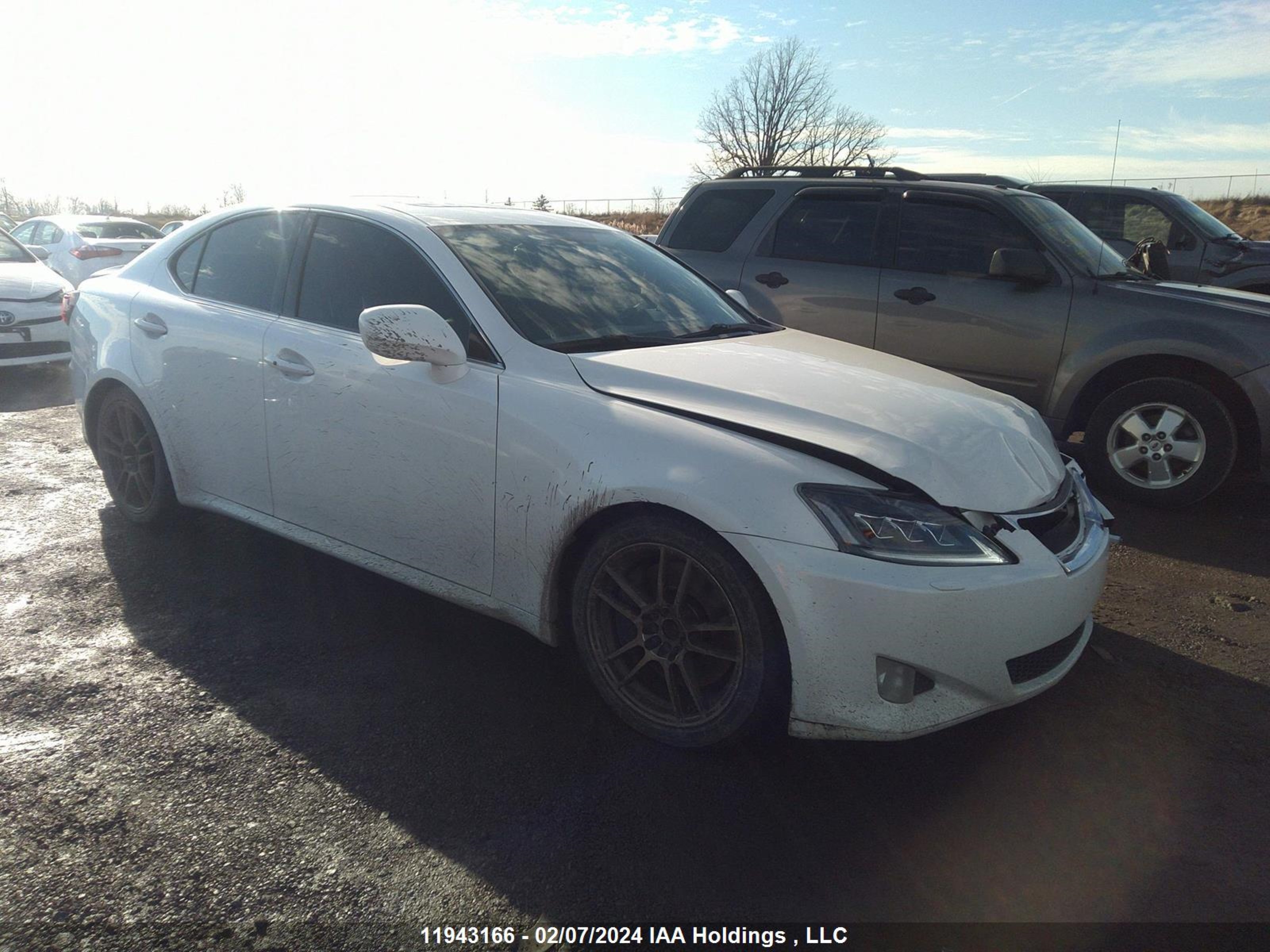 Photo 0 VIN: JTHBE262X85020624 - LEXUS IS 