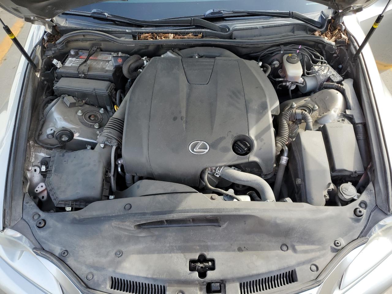 Photo 10 VIN: JTHBF1D20E5018077 - LEXUS IS 