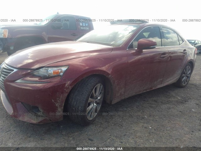 Photo 1 VIN: JTHBF1D20E5030262 - LEXUS IS 250 