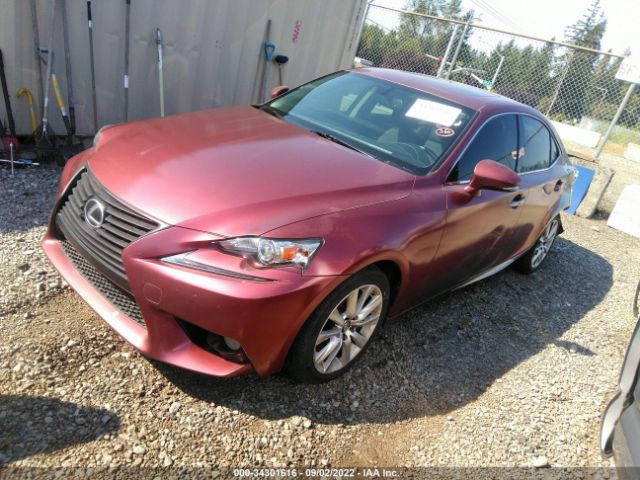 Photo 1 VIN: JTHBF1D23E5009969 - LEXUS IS 250 