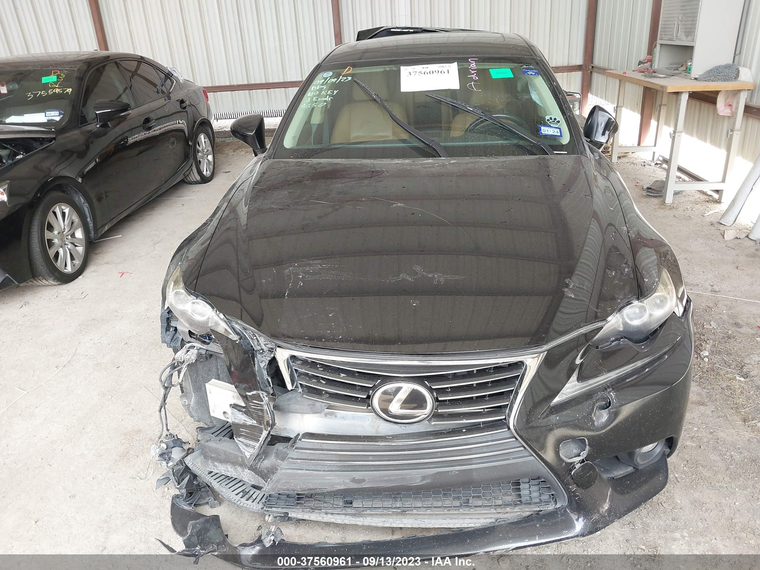 Photo 11 VIN: JTHBF1D24E5018650 - LEXUS IS 