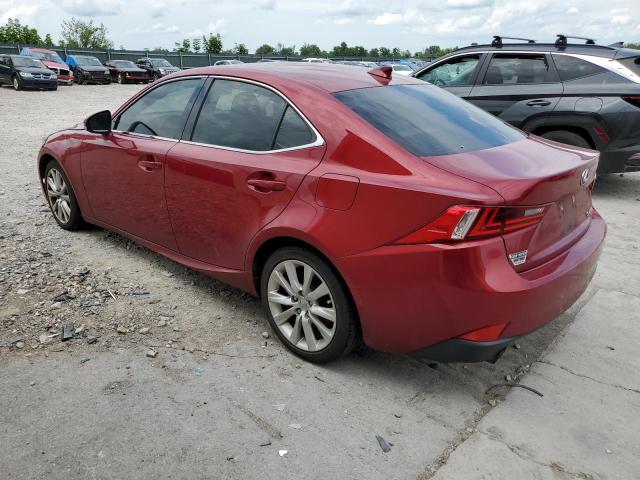 Photo 1 VIN: JTHBF1D24E5030507 - LEXUS IS 250 