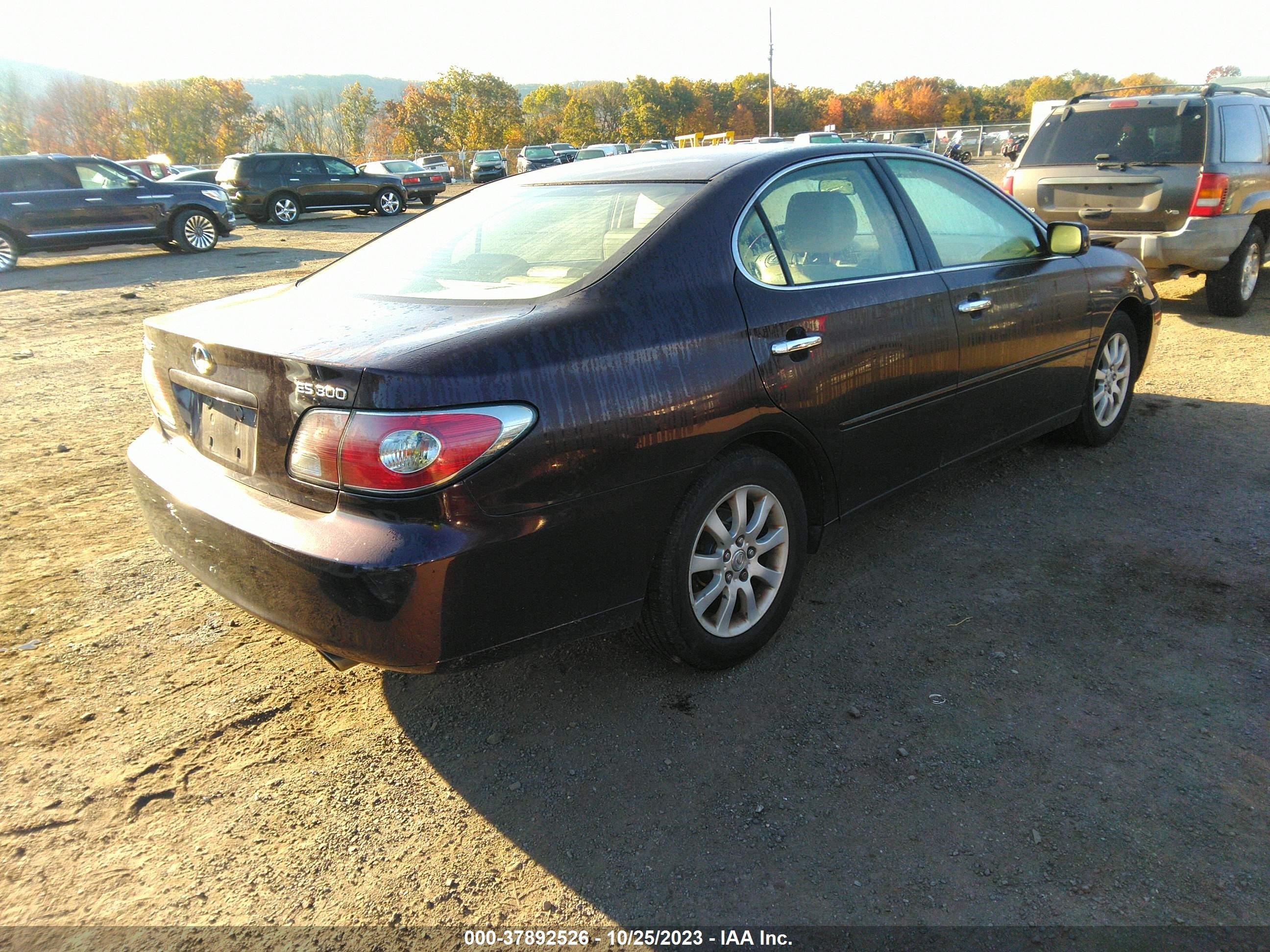 Photo 3 VIN: JTHBF30G025037074 - LEXUS ES 