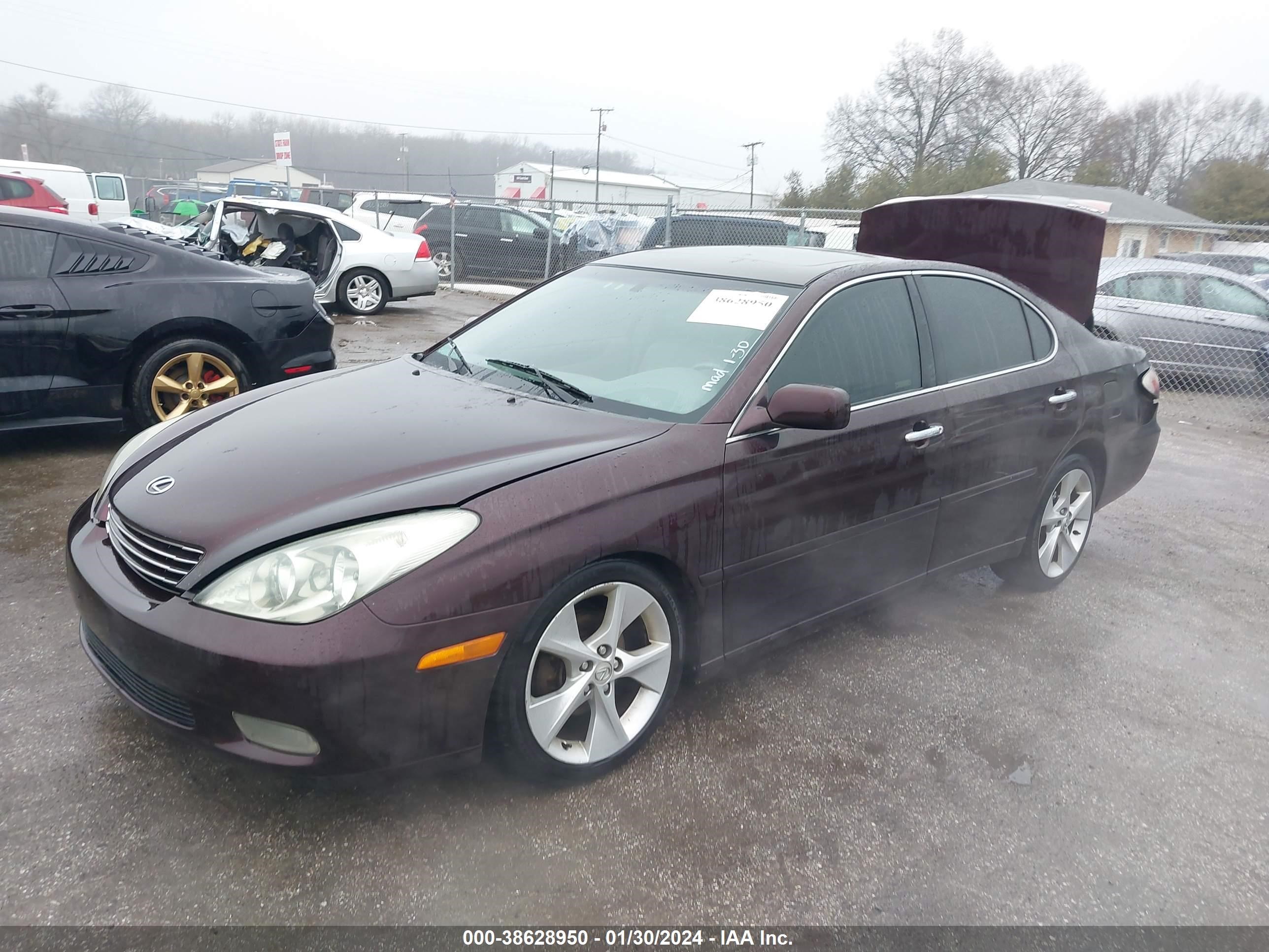 Photo 1 VIN: JTHBF30G325037232 - LEXUS ES 