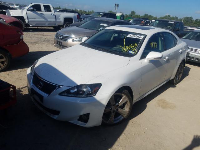 Photo 1 VIN: JTHBF5C21B5156182 - LEXUS IS 250 