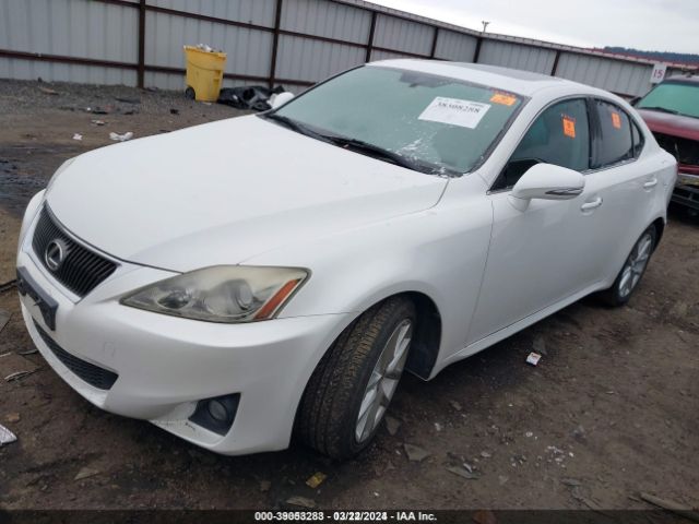 Photo 1 VIN: JTHBF5C2XB5137498 - LEXUS IS 250 