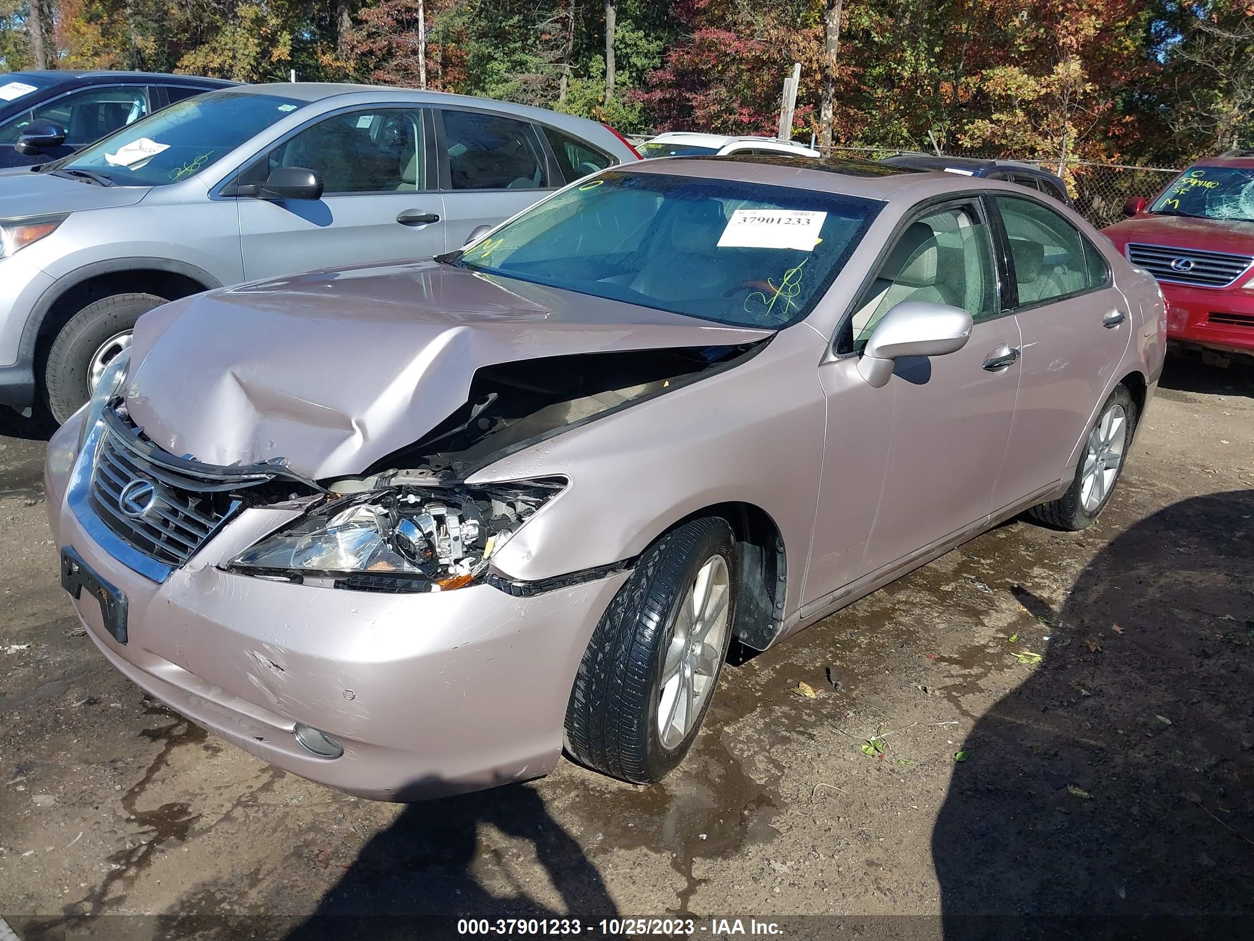 Photo 1 VIN: JTHBJ46G192277659 - LEXUS ES 