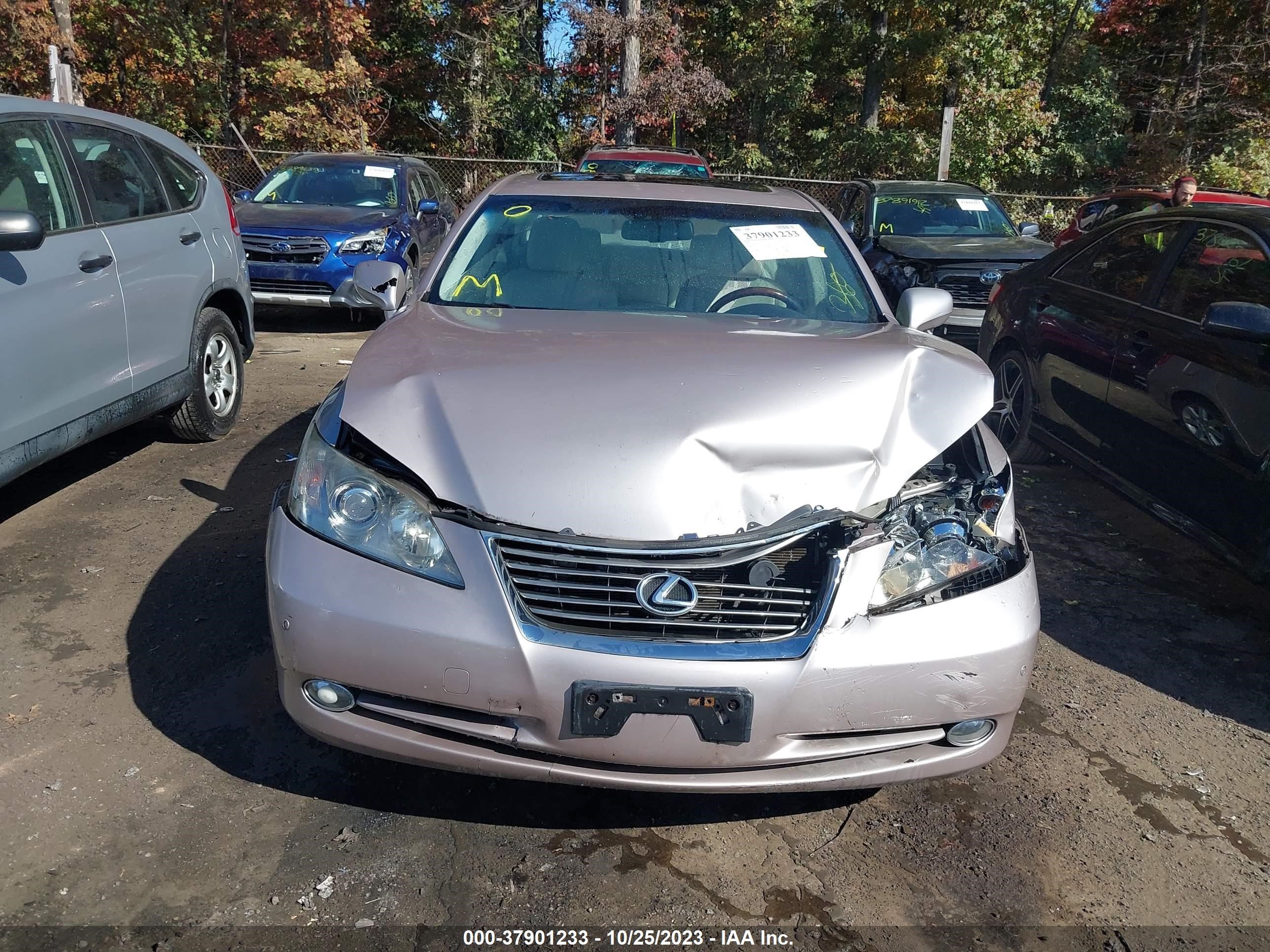 Photo 11 VIN: JTHBJ46G192277659 - LEXUS ES 