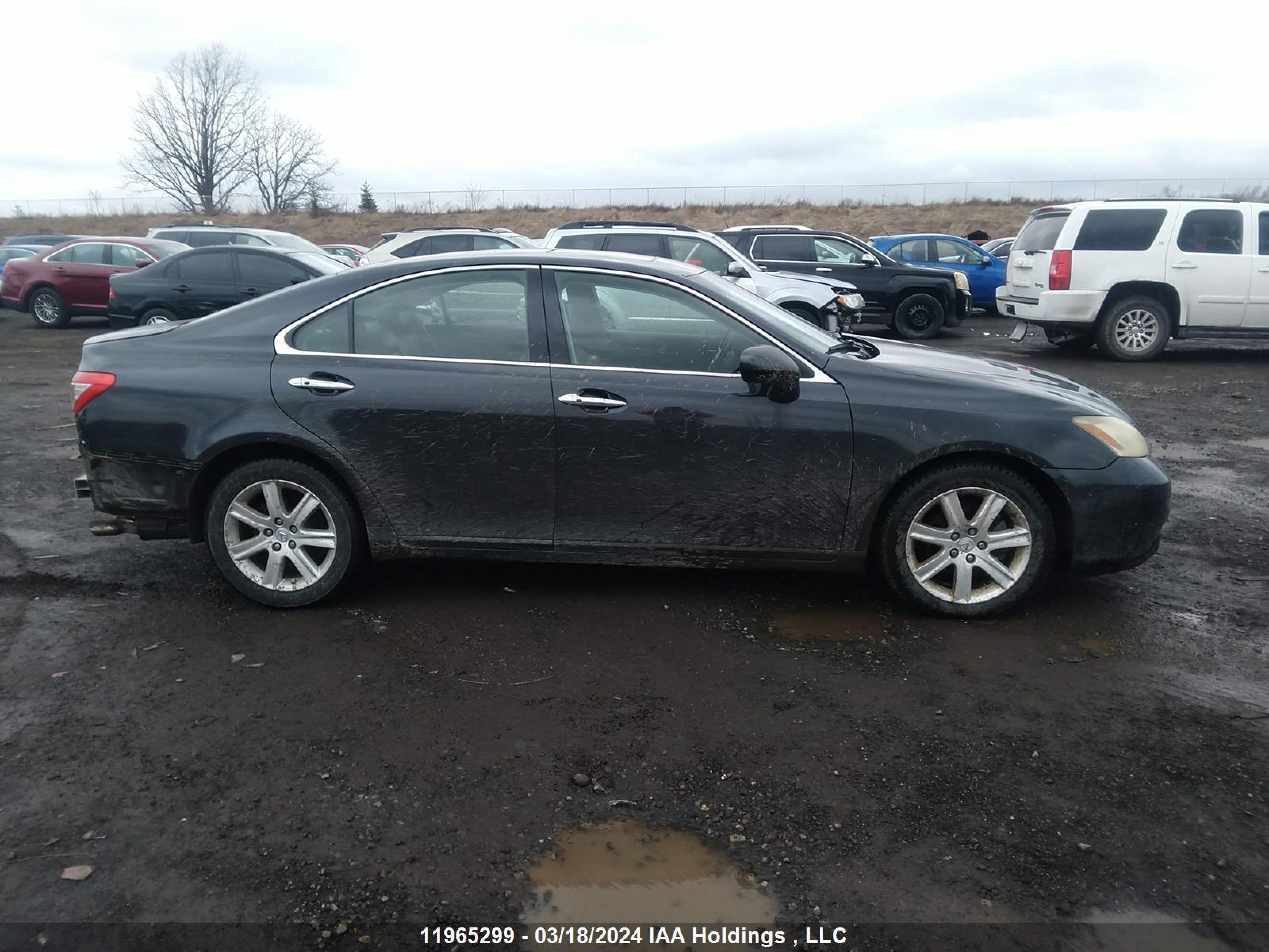 Photo 12 VIN: JTHBJ46G192315116 - LEXUS ES 