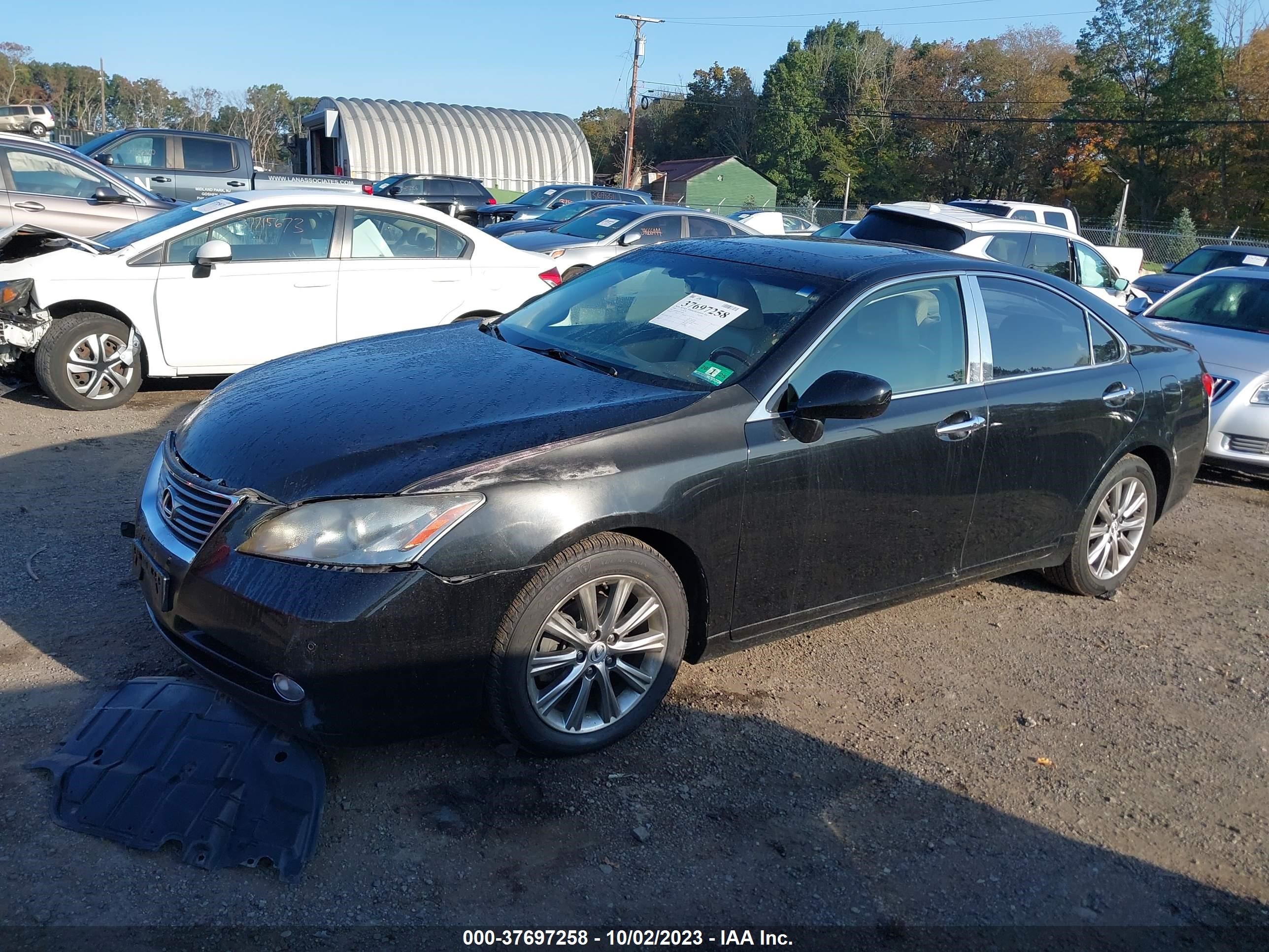 Photo 1 VIN: JTHBJ46G492340494 - LEXUS ES 