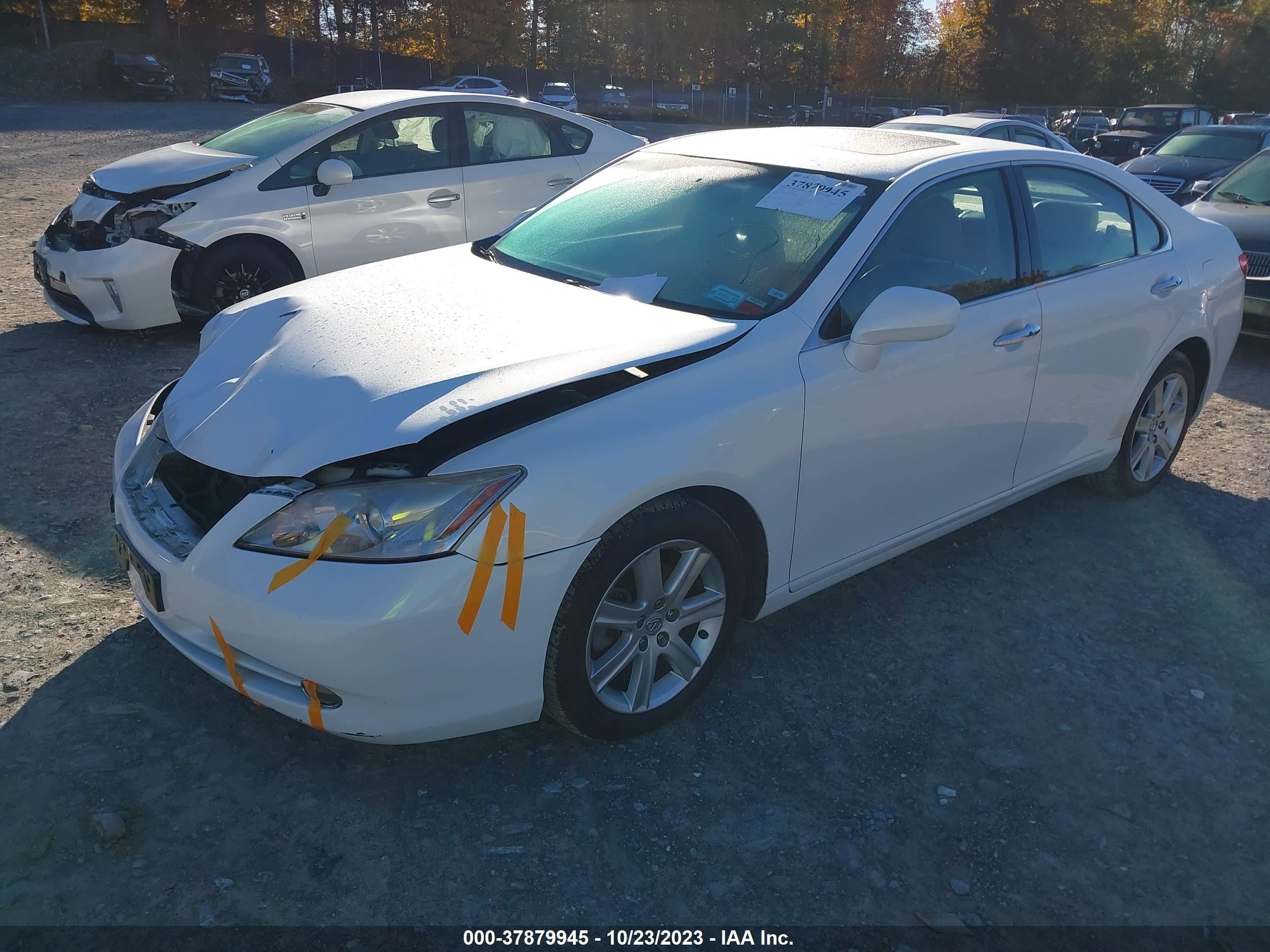 Photo 1 VIN: JTHBJ46G692329853 - LEXUS ES 