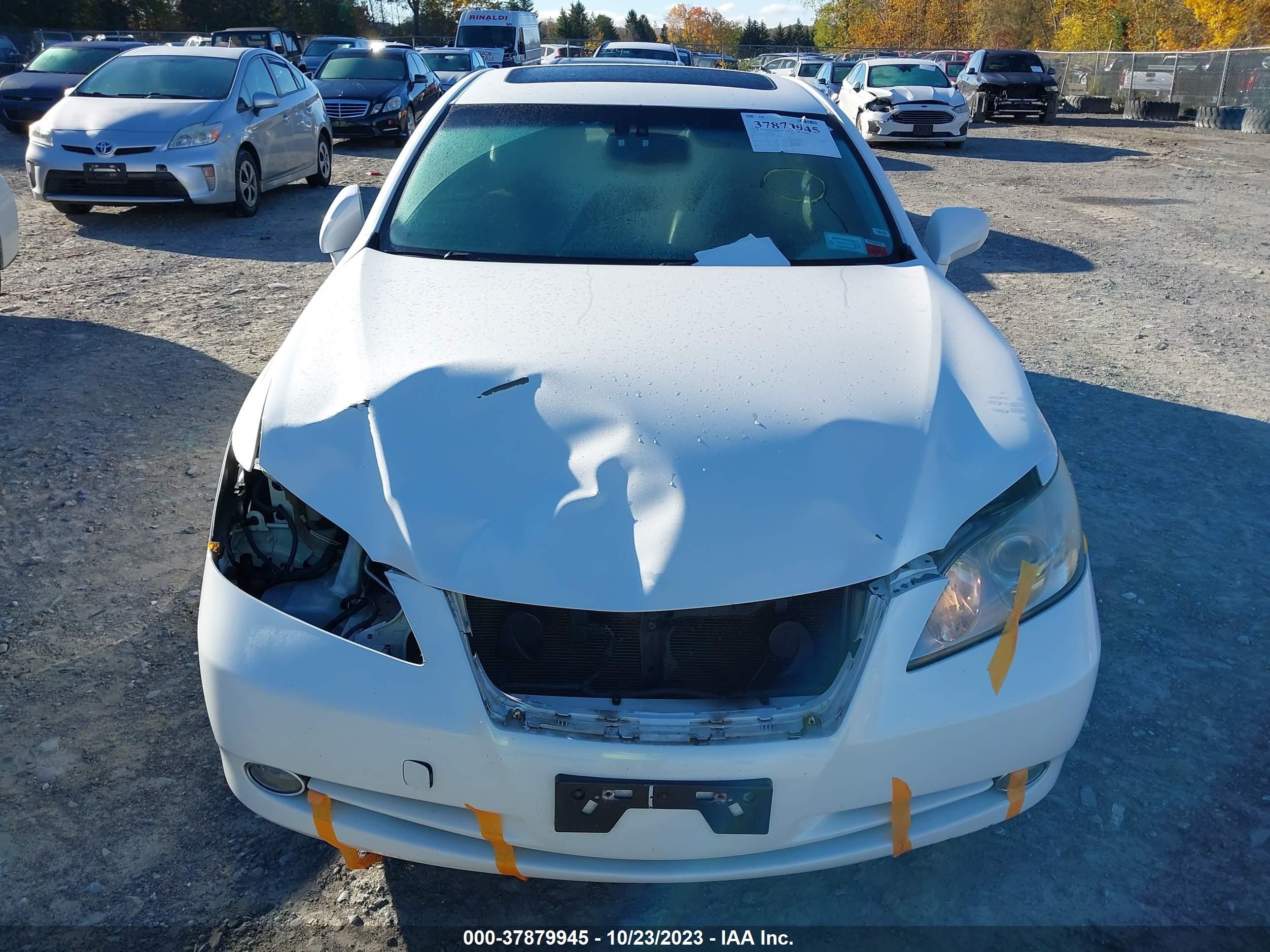 Photo 11 VIN: JTHBJ46G692329853 - LEXUS ES 