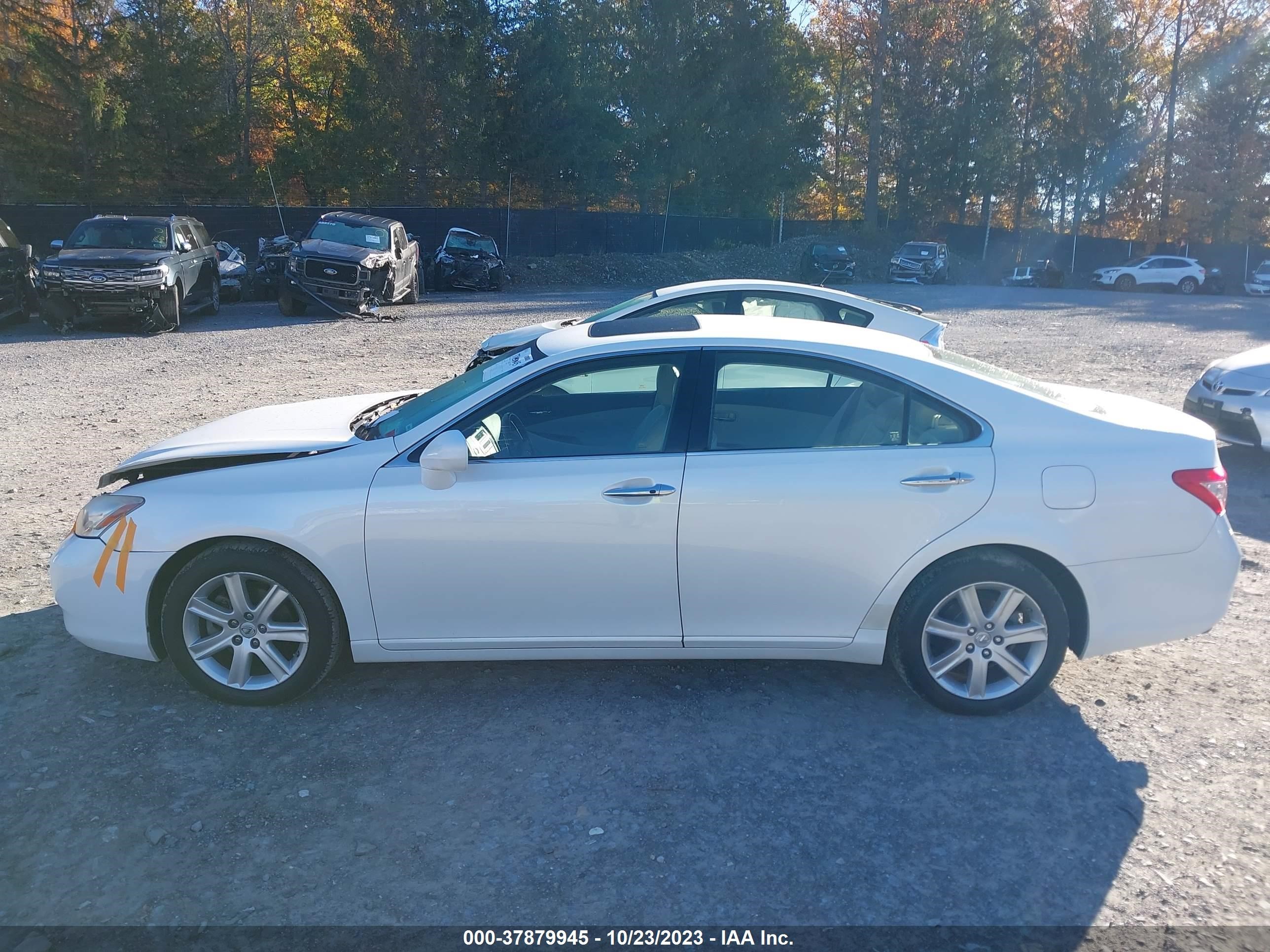 Photo 13 VIN: JTHBJ46G692329853 - LEXUS ES 