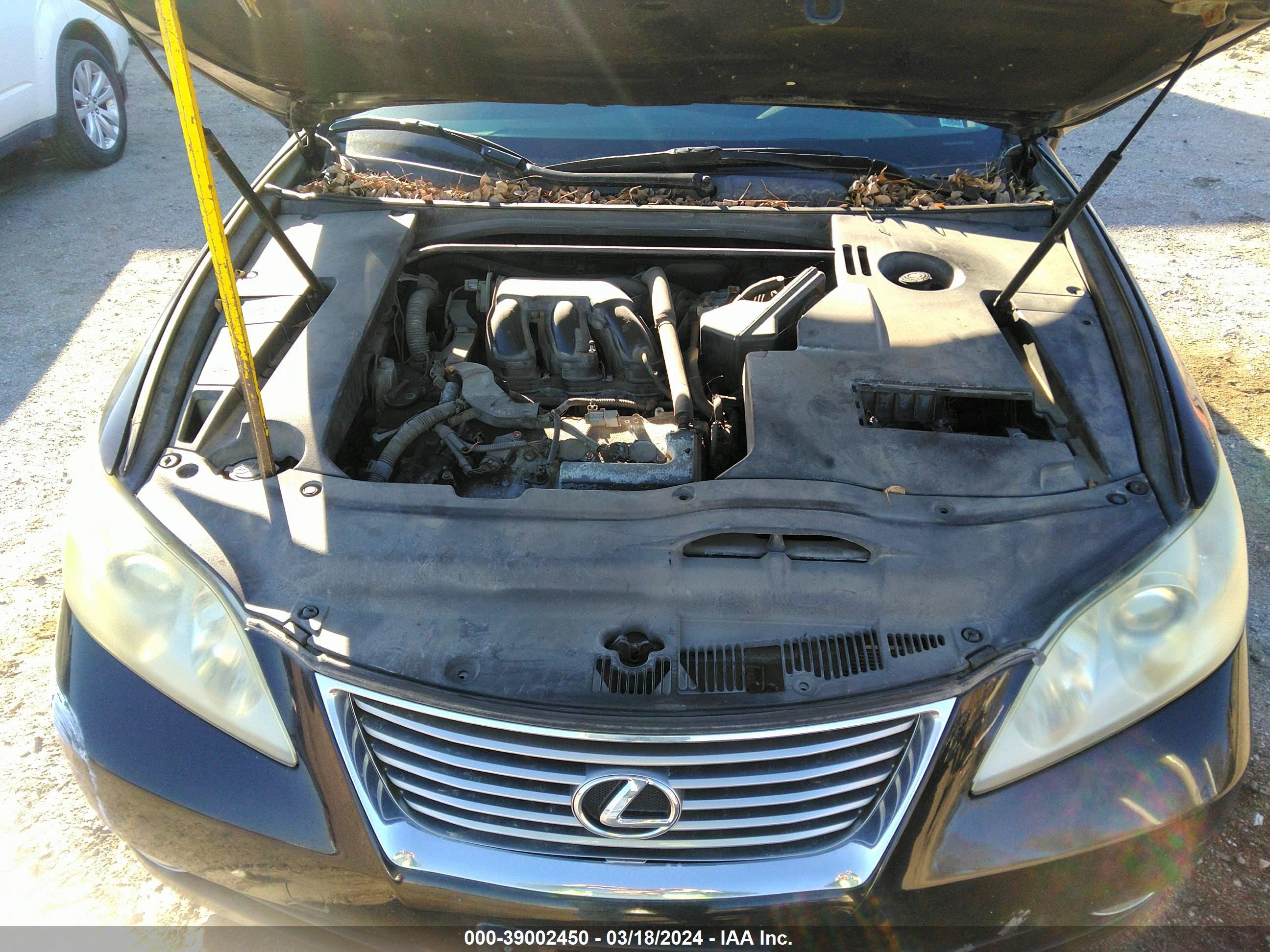 Photo 9 VIN: JTHBJ46G882200494 - LEXUS ES 