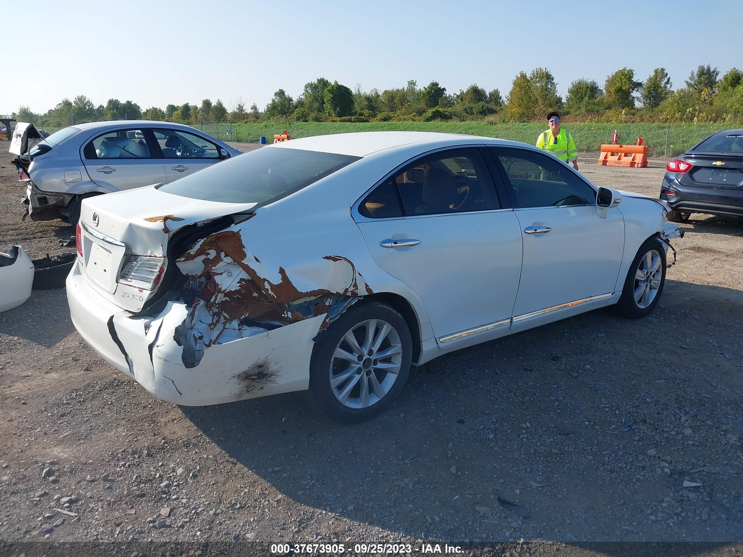 Photo 3 VIN: JTHBJ46G982255276 - LEXUS ES 