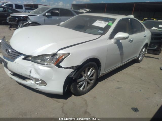 Photo 1 VIN: JTHBK1EG0A2354331 - LEXUS ES 350 