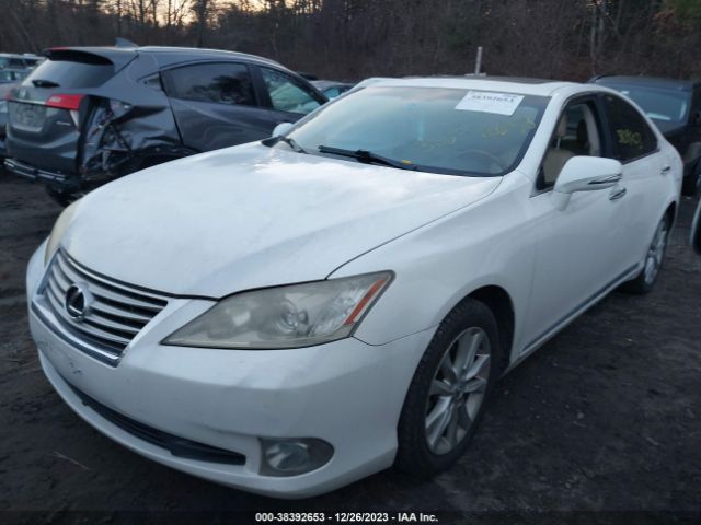 Photo 1 VIN: JTHBK1EG0B2436030 - LEXUS ES 350 