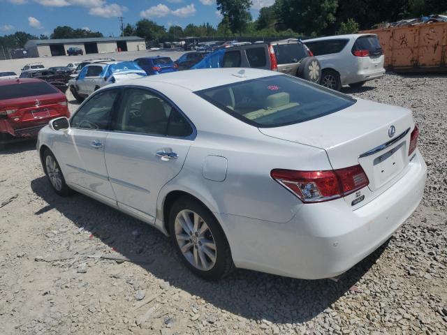 Photo 1 VIN: JTHBK1EG0B2464085 - LEXUS ES350 