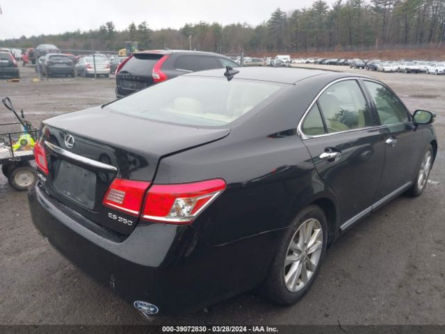 Photo 3 VIN: JTHBK1EG1A2388276 - LEXUS ES 350 