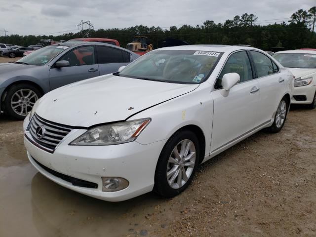 Photo 1 VIN: JTHBK1EG1B2429782 - LEXUS ES 350 