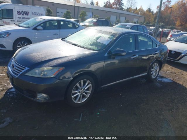 Photo 1 VIN: JTHBK1EG1B2446761 - LEXUS ES 350 