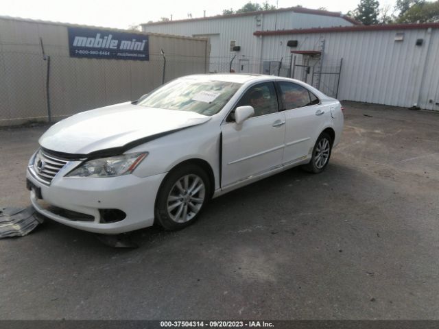 Photo 1 VIN: JTHBK1EG2B2433744 - LEXUS ES 350 