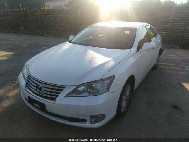 Photo 1 VIN: JTHBK1EG2B2460491 - LEXUS ES 350 