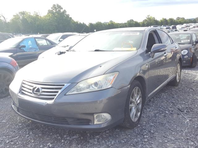 Photo 1 VIN: JTHBK1EG2C2479897 - LEXUS ES 350 