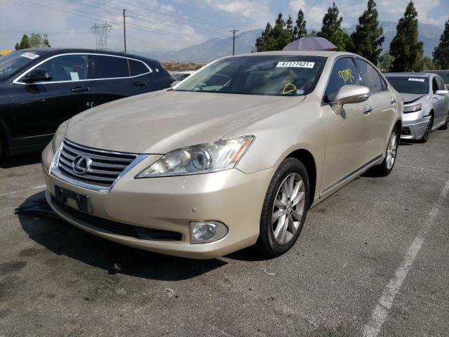 Photo 1 VIN: JTHBK1EG3A2379174 - LEXUS ES 350 