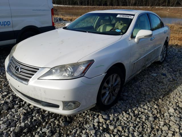 Photo 1 VIN: JTHBK1EG3B2434983 - LEXUS ES 350 