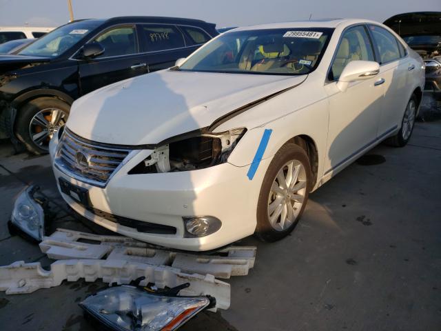 Photo 1 VIN: JTHBK1EG3B2439293 - LEXUS ES 350 