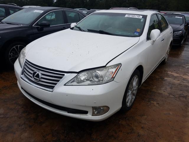 Photo 1 VIN: JTHBK1EG3C2484574 - LEXUS ES 350 