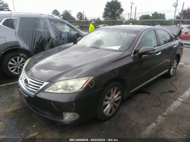 Photo 1 VIN: JTHBK1EG4A2401456 - LEXUS ES 350 