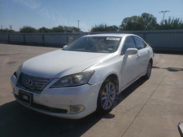 Photo 1 VIN: JTHBK1EG4C2484020 - LEXUS ES 350 