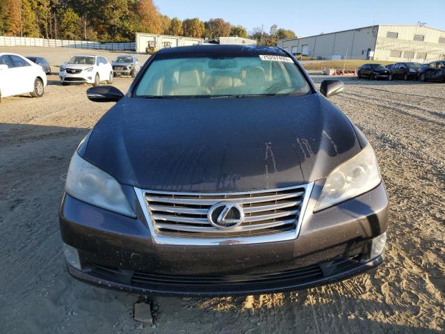 Photo 4 VIN: JTHBK1EG5A2381184 - LEXUS ES350 