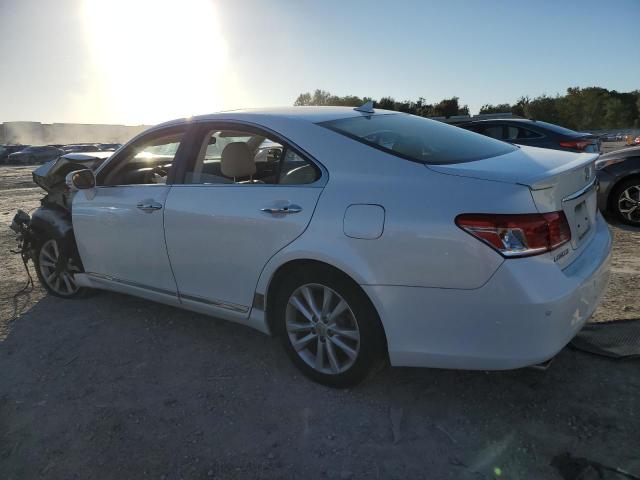 Photo 1 VIN: JTHBK1EG5A2384358 - LEXUS ES350 