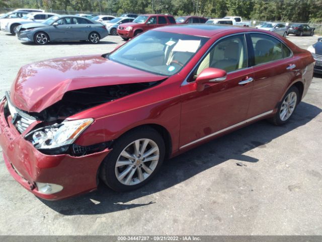 Photo 1 VIN: JTHBK1EG6A2394512 - LEXUS ES 350 