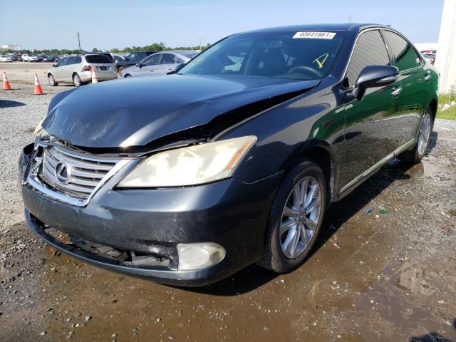 Photo 1 VIN: JTHBK1EG6B2429406 - LEXUS ES 350 