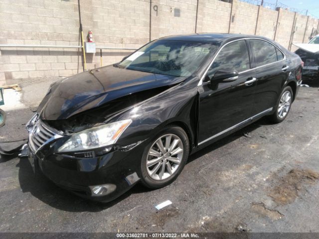 Photo 1 VIN: JTHBK1EG6C2484231 - LEXUS ES 350 