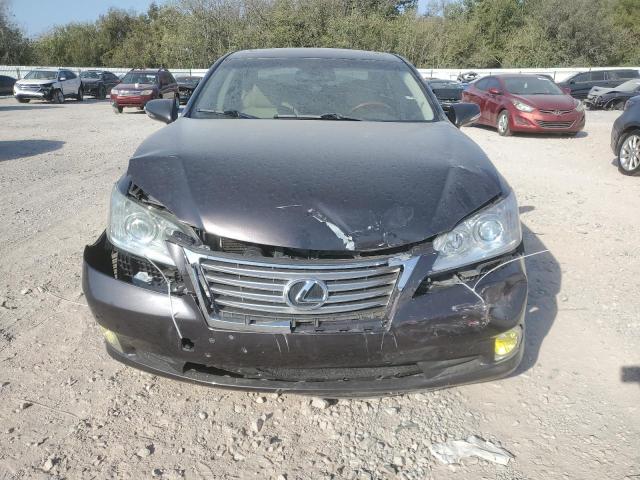 Photo 4 VIN: JTHBK1EG7A2353113 - LEXUS ES 350 