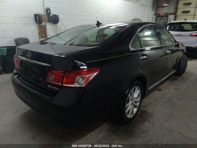 Photo 3 VIN: JTHBK1EG7A2369487 - LEXUS ES 350 