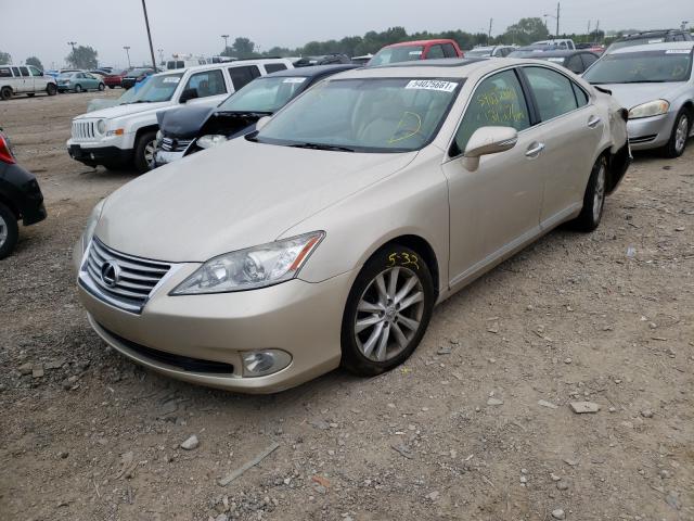 Photo 1 VIN: JTHBK1EG7A2384099 - LEXUS ES 350 