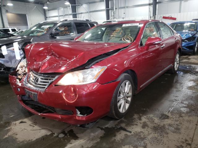 Photo 1 VIN: JTHBK1EG7B2468974 - LEXUS ES 350 